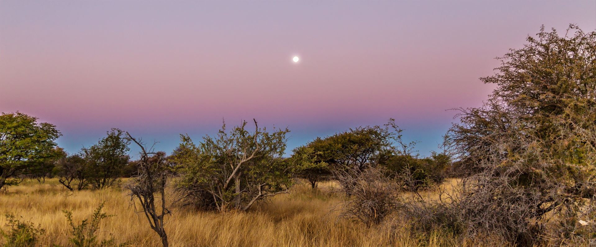 Stranded in Etosha Low res
